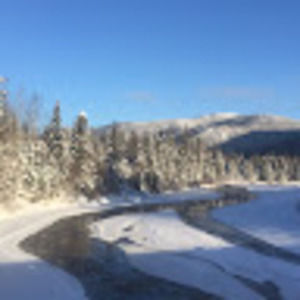 Meet your Posher, Andre